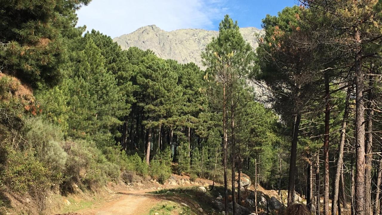 La Calleja Villarejo del Valle Eksteriør billede